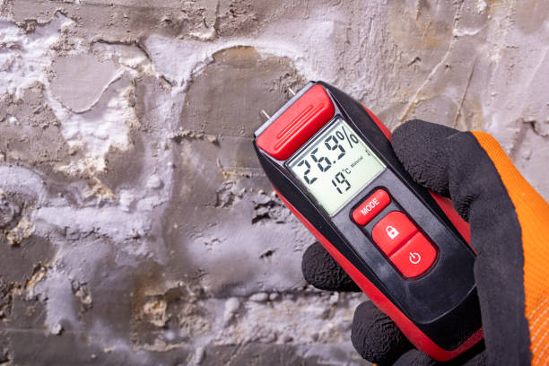 Best Home Mold Removal  in Moreland, ID