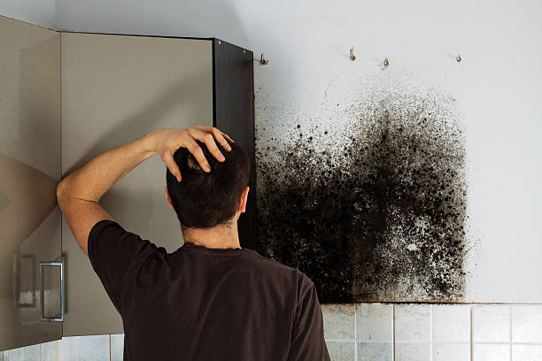 Best Crawl Space Mold Removal  in Moreland, ID